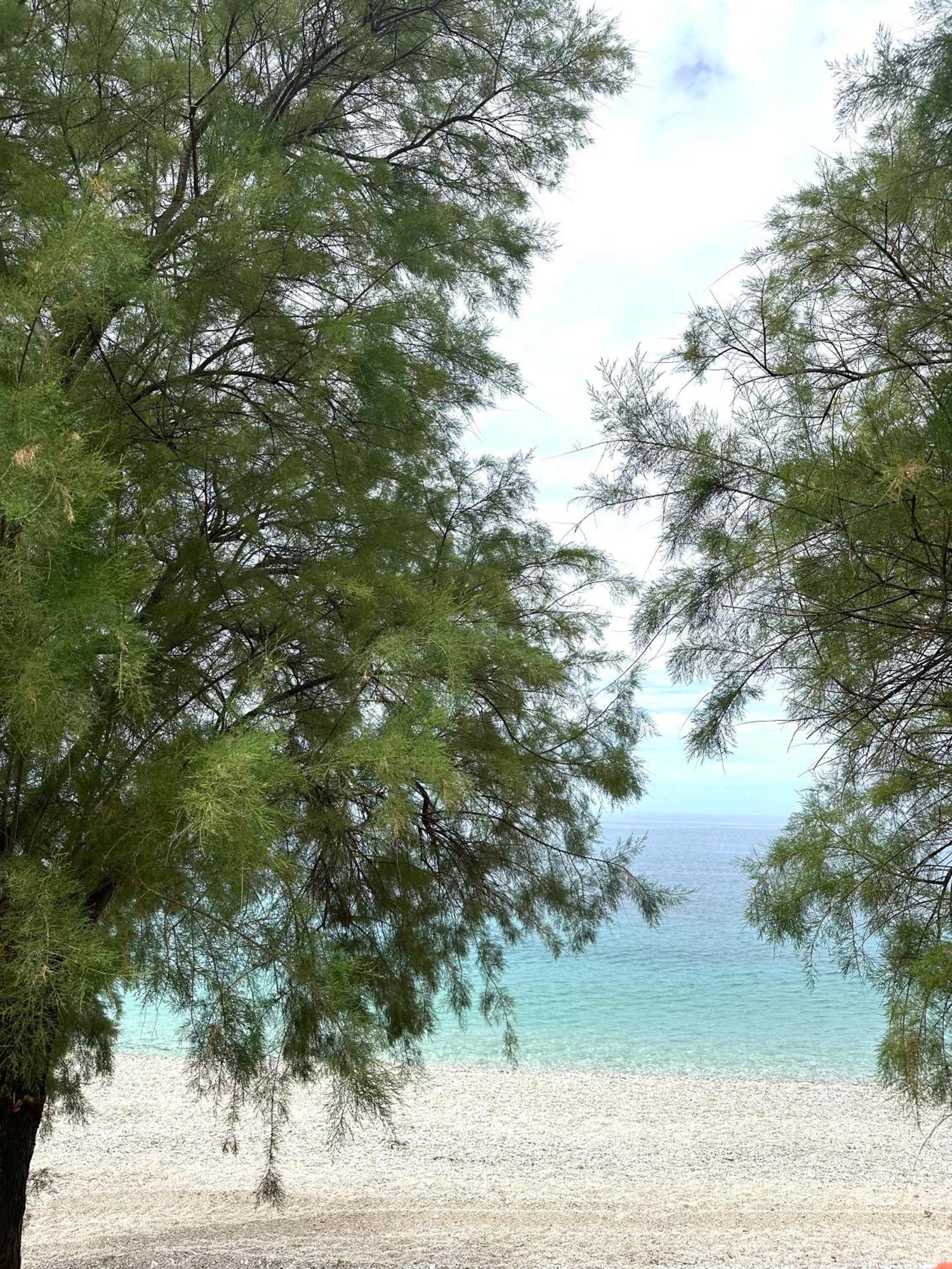 Hotel Potami Seashell Himarë Exteriér fotografie